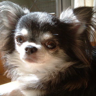 a0079803_0375648.jpg