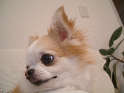 a0079803_0392664.jpg