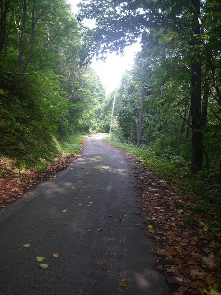 e0123808_222396.jpg