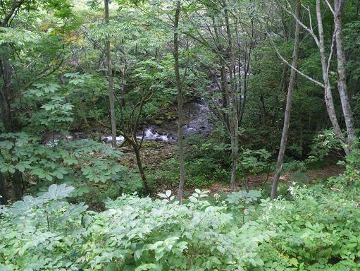 e0123808_2262259.jpg