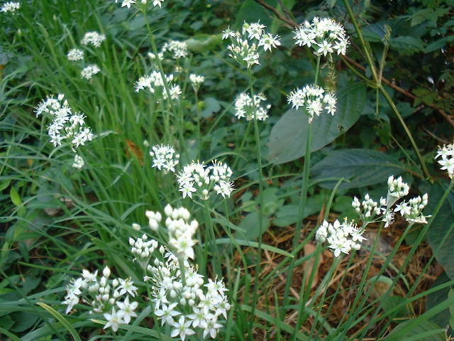 f0173908_1935265.jpg