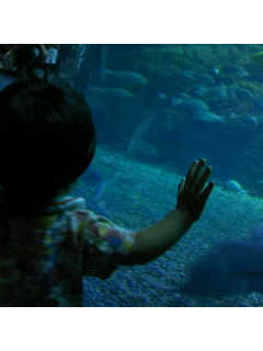 f0009509_340262.jpg
