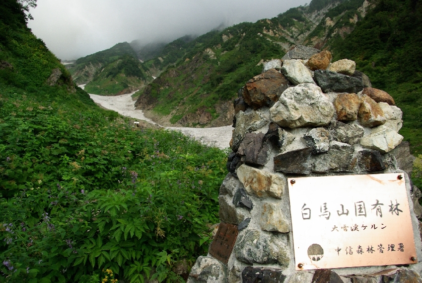b0062024_7123038.jpg