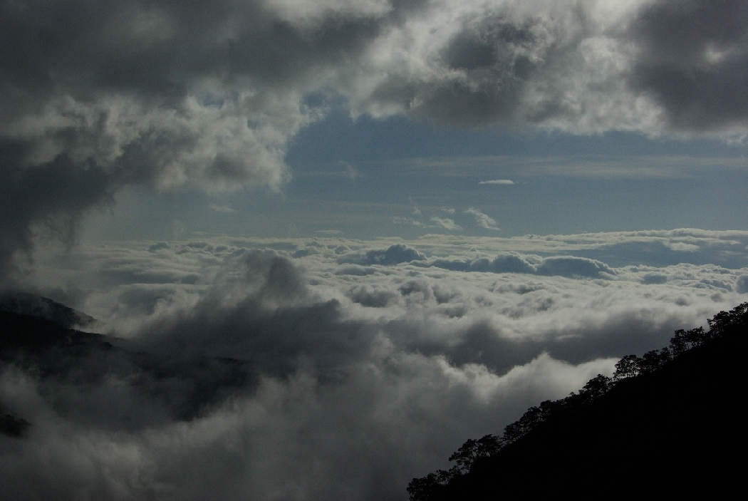 b0062024_733323.jpg