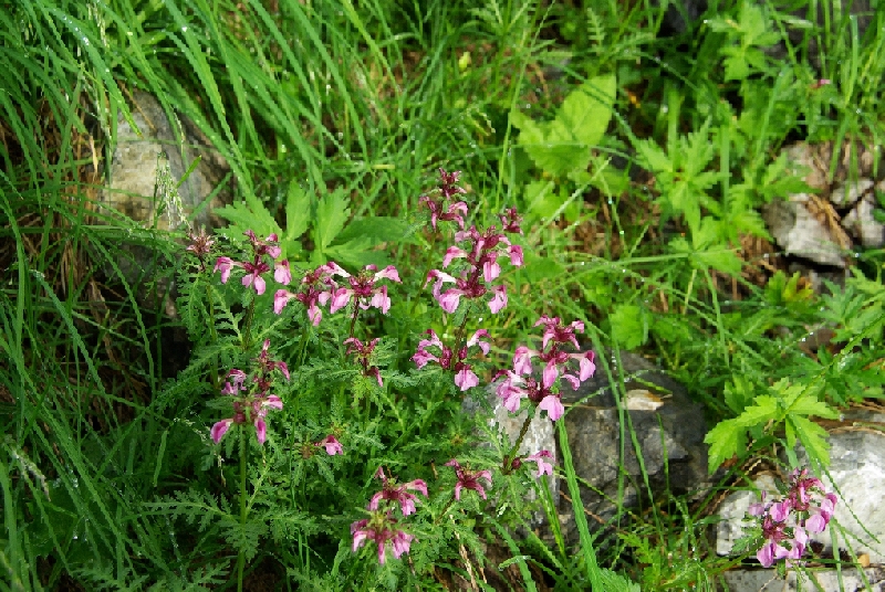 b0062024_7382113.jpg
