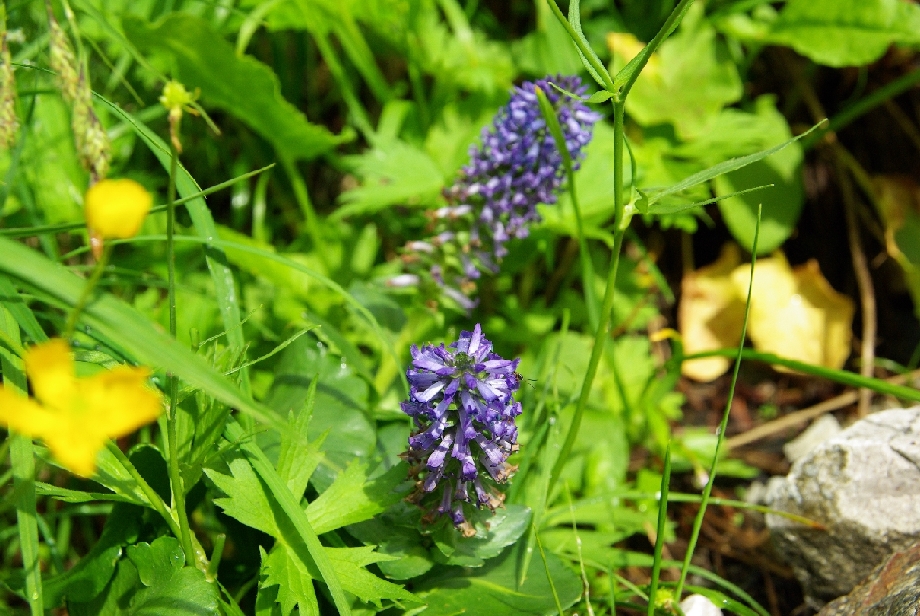 b0062024_7403191.jpg