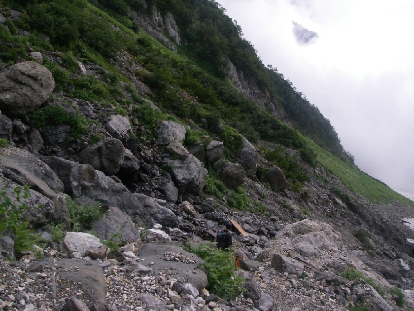 b0062024_7453155.jpg