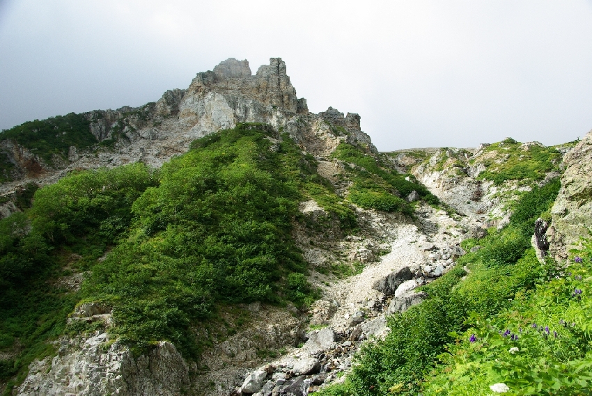 b0062024_7463728.jpg