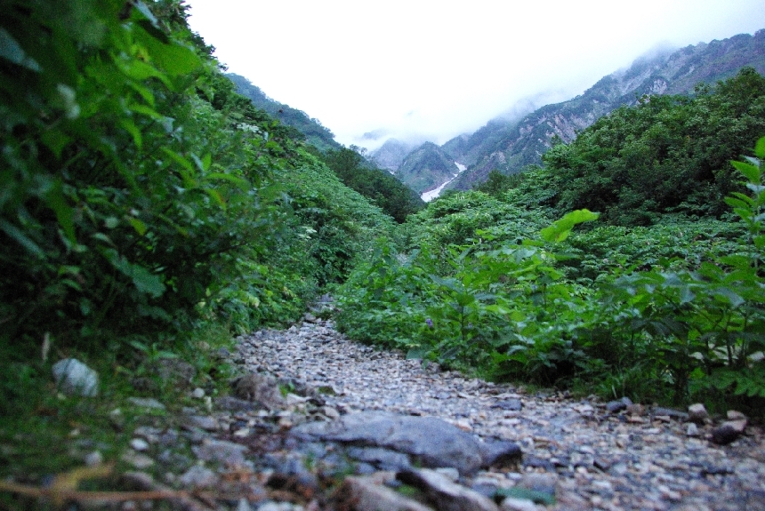 b0062024_793123.jpg