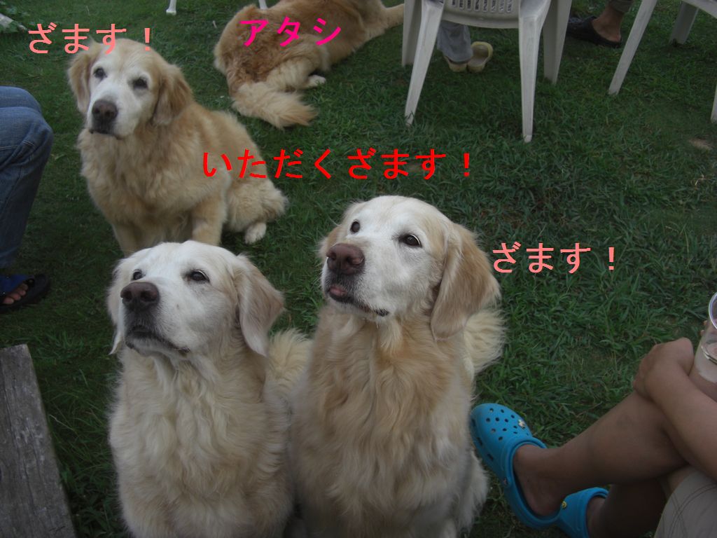 e0142430_23381533.jpg