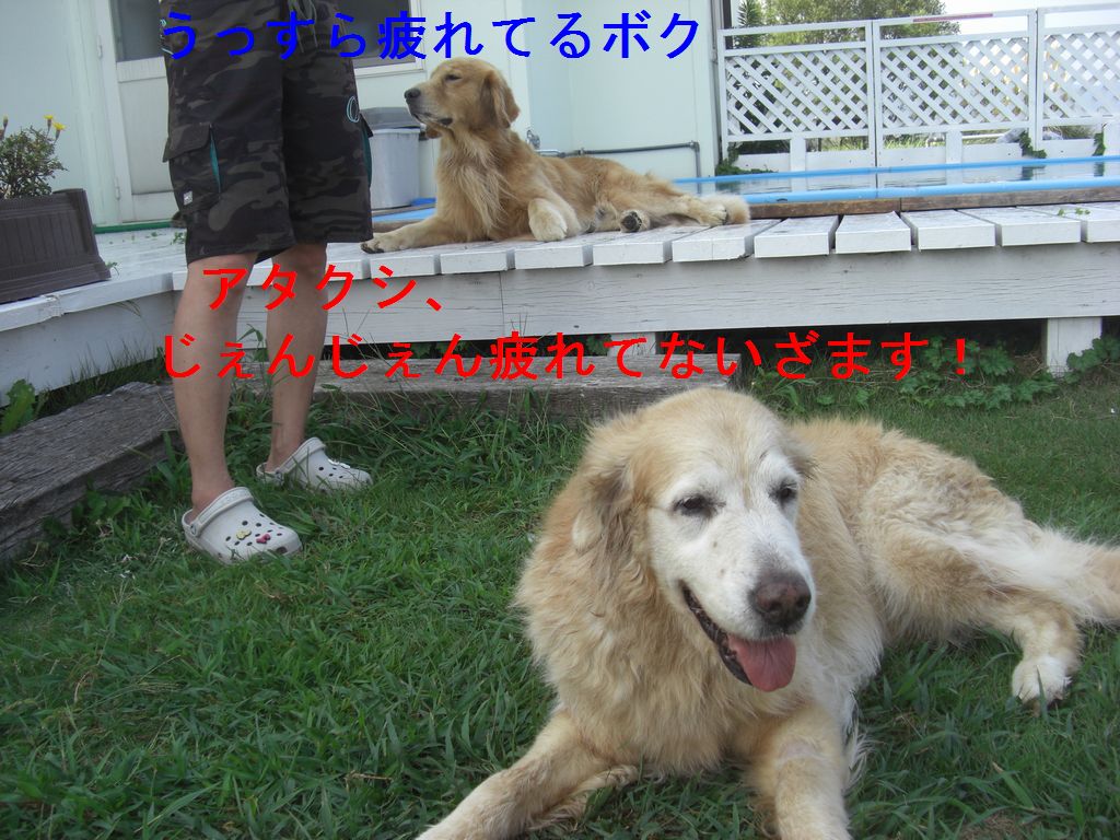 e0142430_23385720.jpg
