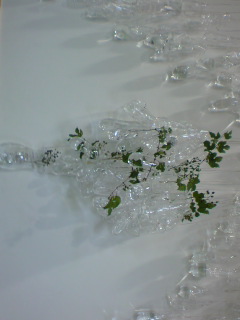f0045630_18115168.jpg