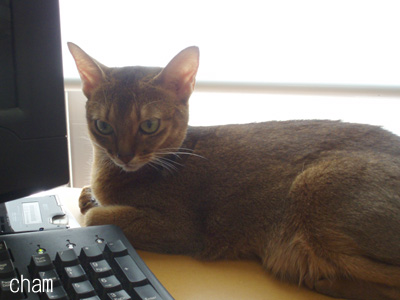 c0132438_2245423.jpg