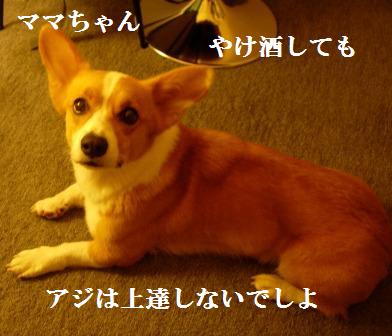 d0081541_21718100.jpg