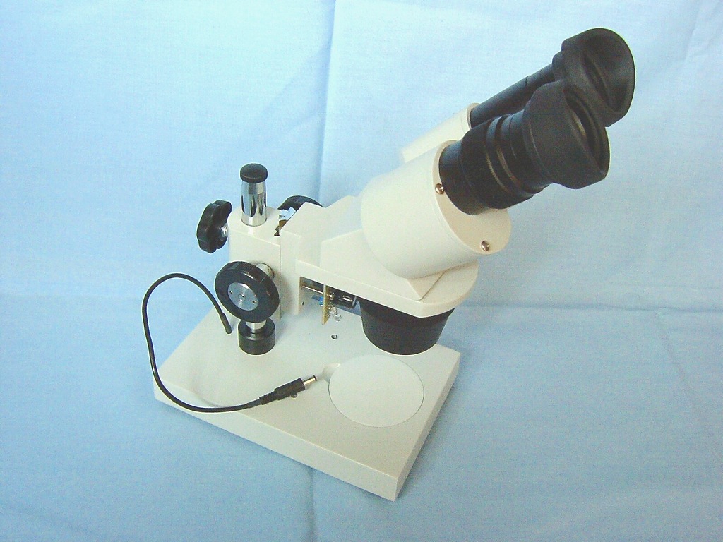 f0175344_13221958.jpg
