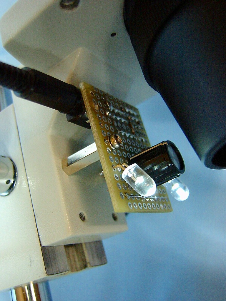 f0175344_1323656.jpg