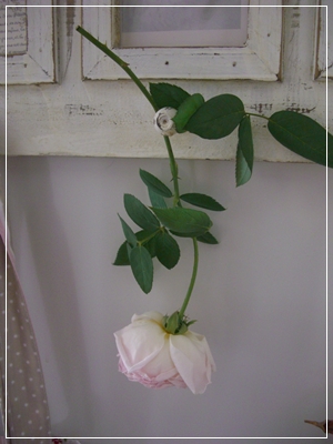 f0072846_1357865.jpg