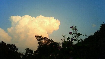 b0132950_22561781.jpg