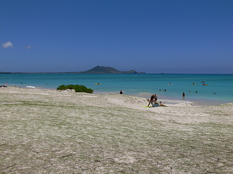 e0050753_2055528.jpg