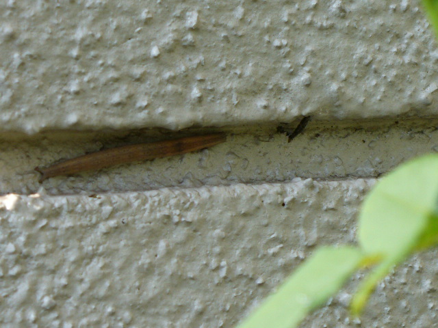 f0074659_23135741.jpg