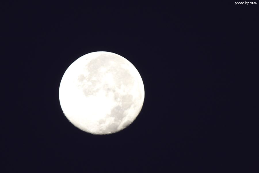 b0098362_6213087.jpg