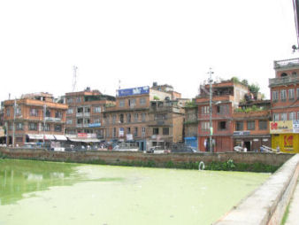d0151463_1459418.jpg