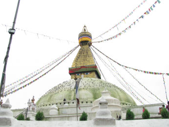 d0151463_146938.jpg