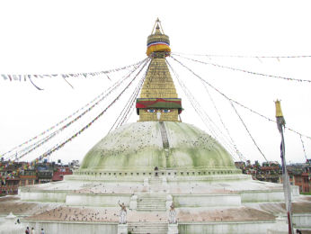 d0151463_148493.jpg
