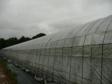 f0055264_21411788.jpg