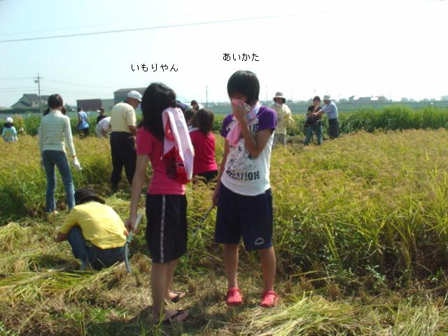 f0182367_2228742.jpg