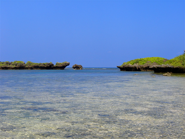 c0151875_10584544.jpg