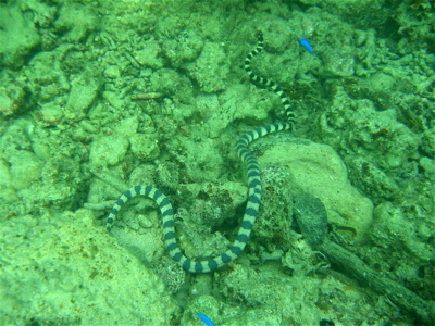c0151875_11171618.jpg
