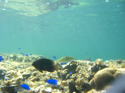c0151875_11593553.jpg