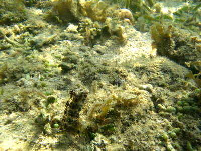 c0151875_120526.jpg