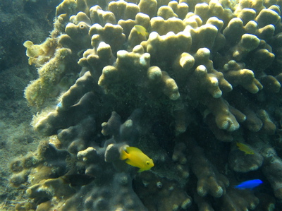 c0151875_1228131.jpg