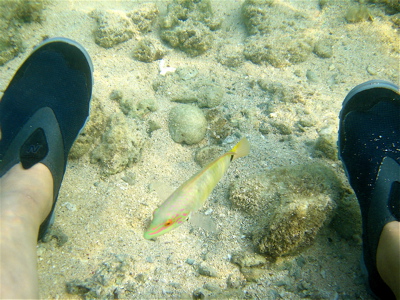 c0151875_1271097.jpg