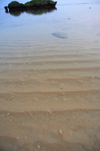 c0151875_15554099.jpg