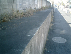 b0013376_2021424.jpg