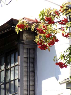 f0092382_329136.jpg