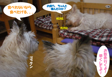 e0066883_2135156.gif