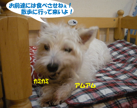 e0066883_2175478.gif
