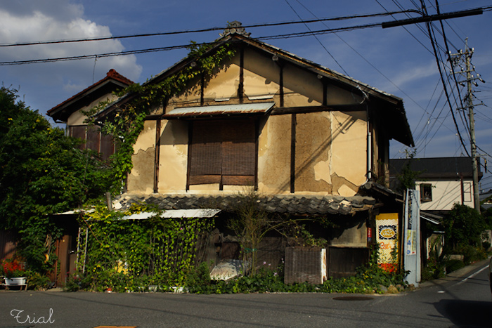 c0059485_23595234.jpg