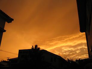 e0130185_18361137.jpg