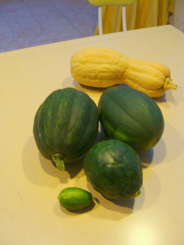 e0008586_22124232.jpg