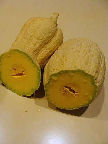 e0008586_22165583.jpg