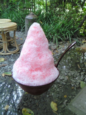 b0026388_102598.jpg