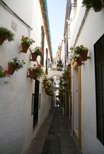 d0098792_13362760.jpg