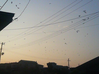 d0149105_7555193.jpg
