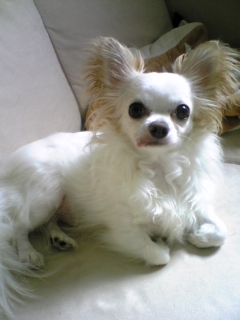 d0149809_0292156.jpg