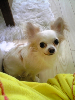 d0149809_0292181.jpg